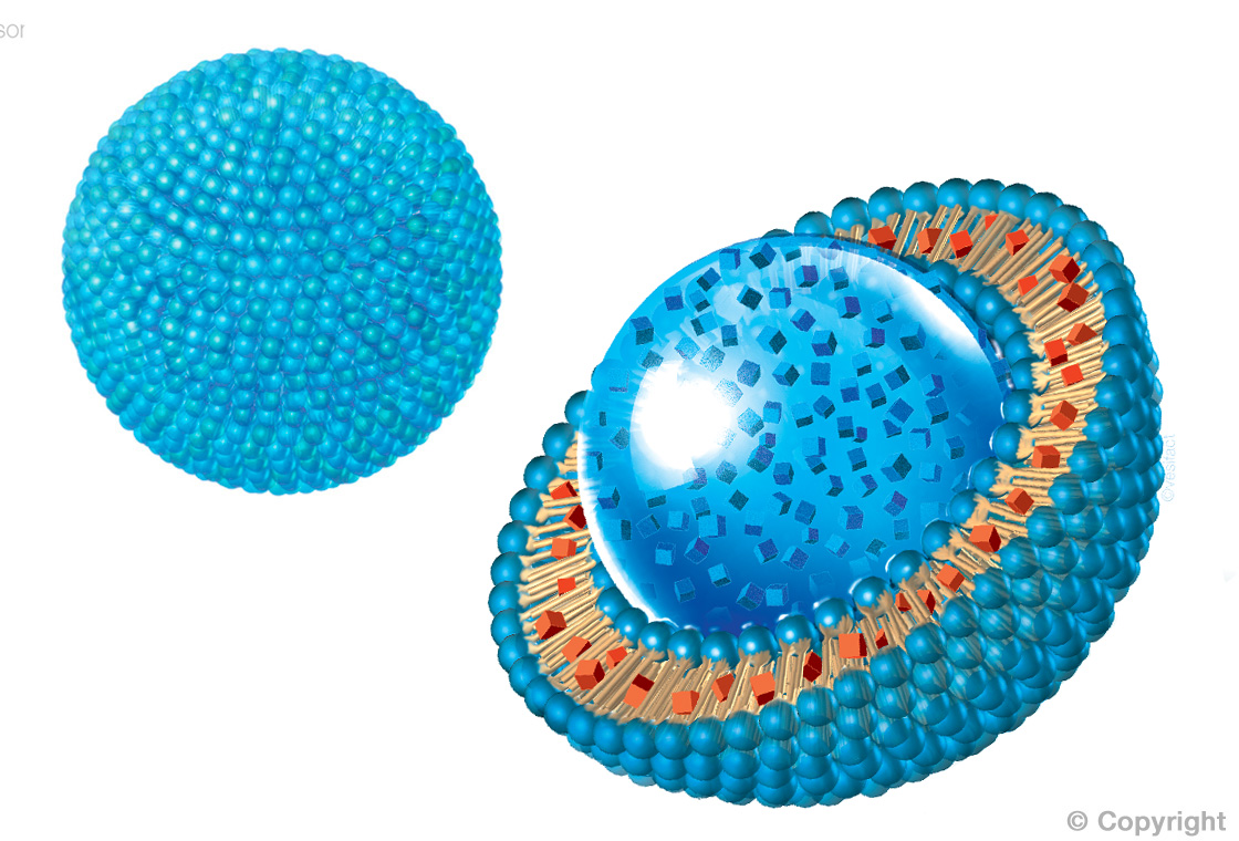 3D-Darstellung eines Liposoms