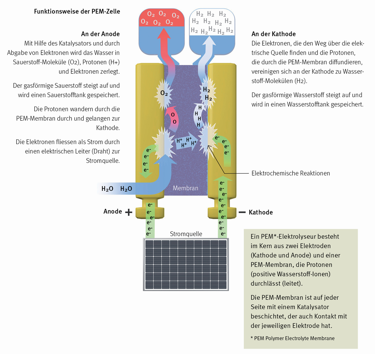 Infografik für PSI (Paul Scherrer Institute, Baden). PEM-Membran-Elektrolyse. Erläuterung des elektrochemischen Prozesses zur Trennung von Wasserstoff aus Wasser.